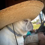 Patsy Davis - @patsy_davis_photography - Instagram