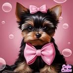 Patsy Davis - Facebook