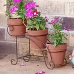 Patsy Davis - Facebook