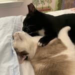 Miss Patsy🦋 and Dawson🕊 - @dawsonandmisspatsy - Instagram