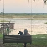 Patsy Dees - @patsydeesrealtor - Instagram