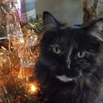 Patsy Denison - Facebook