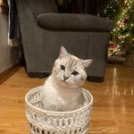 Patty Dillon - @patty.dillon.1671 - Instagram