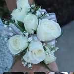 Patsy Dodd - @jbrdgb - Instagram