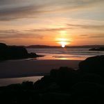 Patsy Doherty - @patsydoherty - Instagram