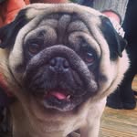 Patsy Donaldson - @patsy.donaldson.1 - Instagram