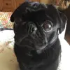 patsydonaldson - @patsydonaldson - TikTok