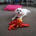 Patsy Dowling - Facebook