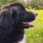 Patsy Doyle - @patsydoyle5250 - Instagram