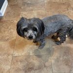 Patsy Doyle - @patsydoyle1950 - Instagram