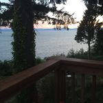 Patsy - @patsy.aikendoyleteam - Instagram