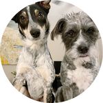 patsy + duncan - @thepatsycakes - Instagram