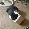Pat Dunham - @pat.dunham0 - TikTok
