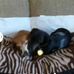 Patsy Dyer - Facebook