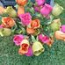 Patty Dye - Facebook