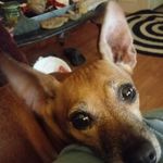 Patsy Edwards - @patsyedwards3754 - Instagram