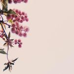 Patsy Edwards - @patsy_ed99 - Instagram