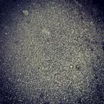 @patsyelis - Instagram