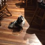 Patsy Honeycutt English - @pa.tsy69 - Instagram