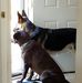 Patty C. Everett - Facebook