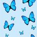 PatTay Fisher - Facebook