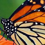 Patsy Fleming - @patsy.fleming2 - Instagram