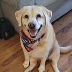 Patty Potter Foote - @patyyfoote - Instagram