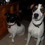 Patsy Forbes - @patsy.forbes.50 - Instagram