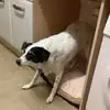Pat Forrester - @pat.forrester7 - TikTok