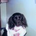 Patsy Fournier - Facebook