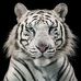 Patsy Fournier - Facebook