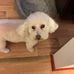 Patsy Fournier Cann - Facebook