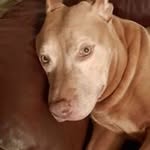 Patsy Fowler - @patsyfowlerfb - Instagram