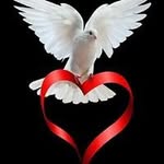 Patsy Fowler - @fowlerpatsy - Instagram