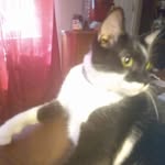 Patsy Michele Fowler - @fowlerpatsymichele - Instagram
