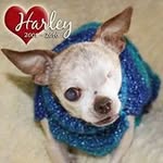 Patsy Michele Fowler - @patsymichele - Instagram