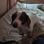 Patsy Franks - @patsymariefranks - Instagram