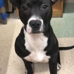 Patsy Fraser - @patsy.fraser.524 - Instagram