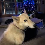 Patty Friedman - @pjfried - Instagram