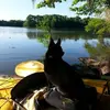 patsykarenfrostha - @patsy.karen.frost - TikTok