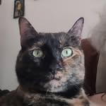 Patsy Fry - @frypatsy - Instagram