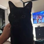 Sarah jones - @patsyt.fulmer - Instagram