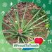 Patsy Gabriel - Facebook