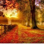 Patsy Gage - Facebook