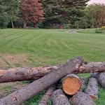 Pat Gagnon Stone - @pat.stone.378 - Instagram