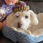 Pat Galloway - @patsyannegalloway - Instagram