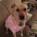 Patsy Gannon - @pdawggie - Instagram