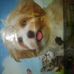 Patsy Garcia - Facebook
