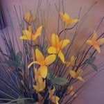 Patsy Garland - @patsy.garland - Instagram