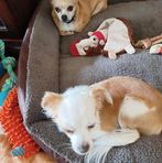 Patsy Gaskin - Facebook